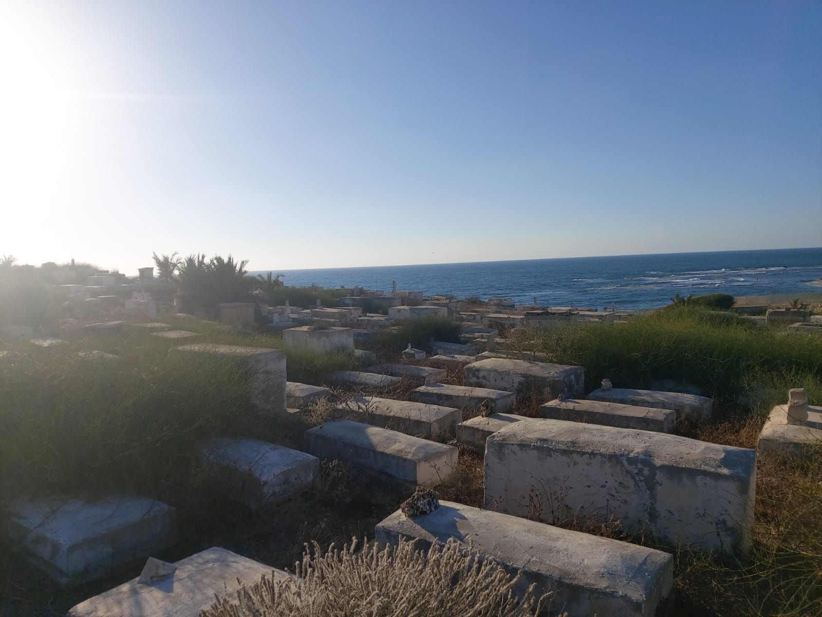 WhatsApp Image 2020-08-17 at 7.30.13 PM.jpeg.jpeg